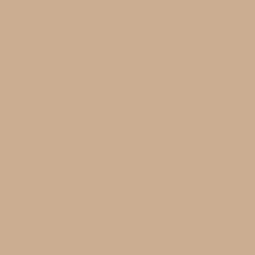 Prairie Grass entry door finish