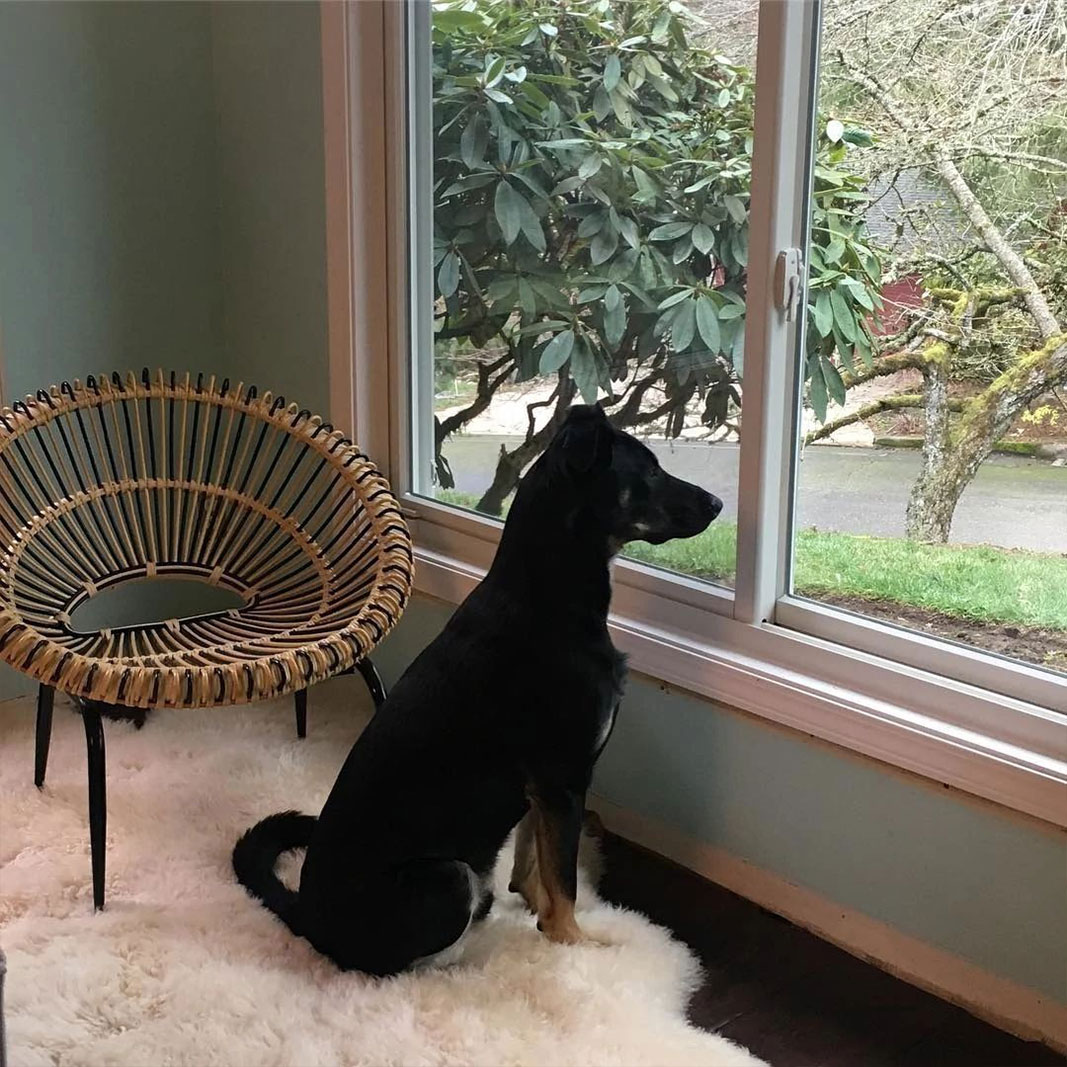 Sliding window installation