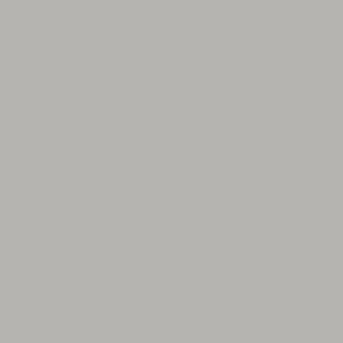 Dove Gray patio door finish